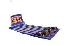 Rat Race carnival game rental